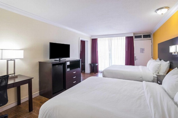 The Link Hotel on Sunrise image 13